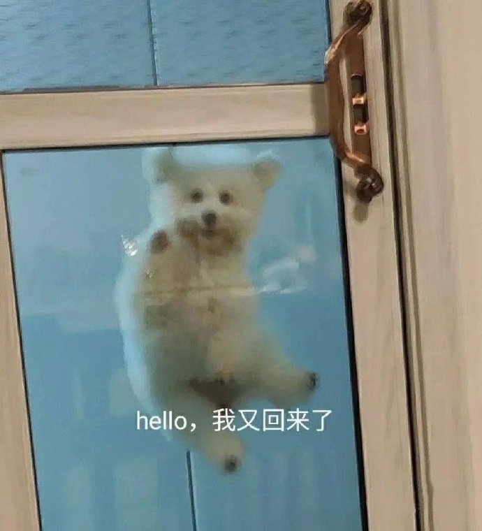 表情包##燃夏快乐争霸赛#是对好,然后呢不知所措我又回来了一起去玩