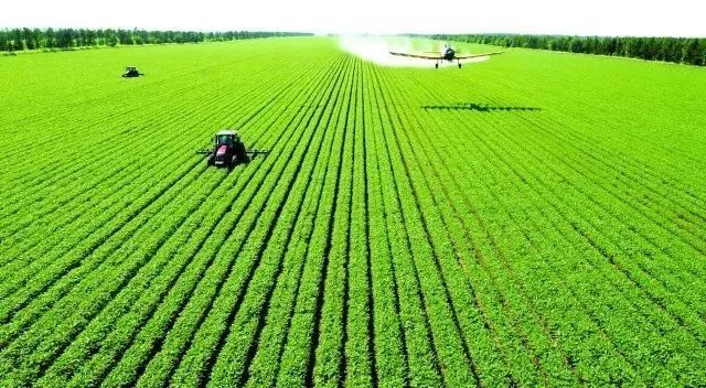 牛奶骨头汤统统靠边!它竟是优质的钙片,真没想到~休闲区蓝鸢梦想 - Www.slyday.coM