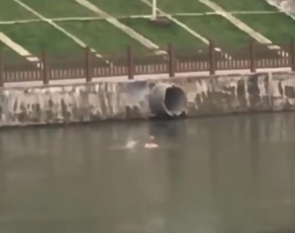 听到有人喊“救命”，男孩下河“救狗”溺水失联……休闲区蓝鸢梦想 - Www.slyday.coM