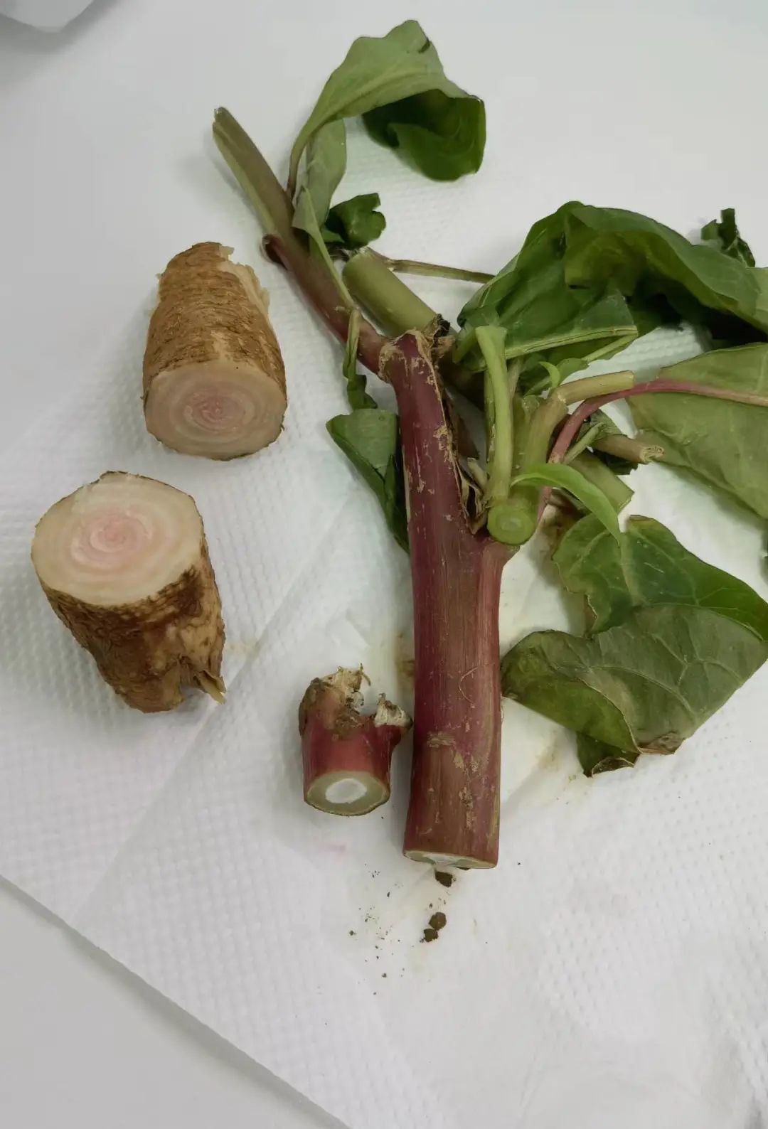 这样吃“毒上加毒”！4人抢救，全身血液净化了3次！医生紧急提醒休闲区蓝鸢梦想 - Www.slyday.coM