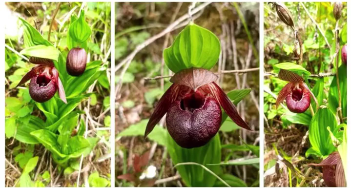 陕视新闻视频截图