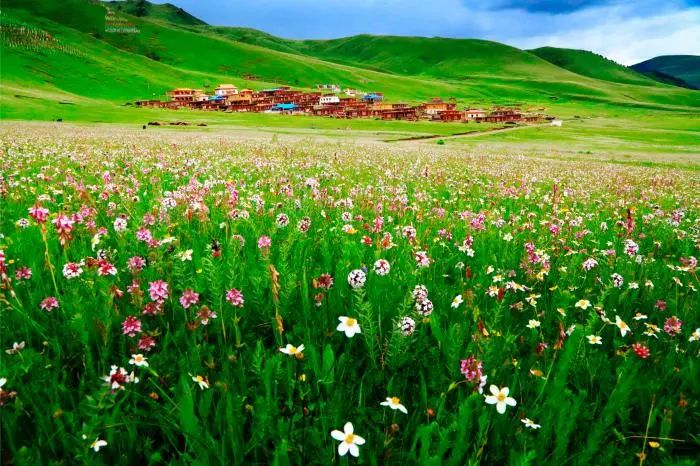 桃源,文波。图片提供:甘孜州文化广电旅游局