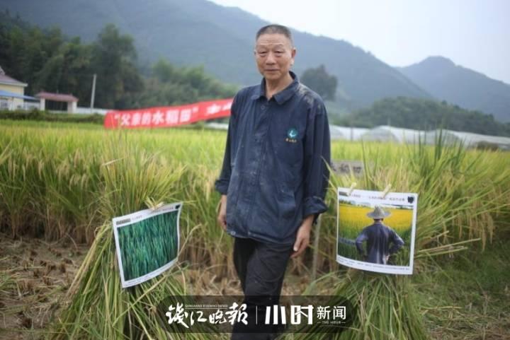 父亲的水稻田休闲区蓝鸢梦想 - Www.slyday.coM