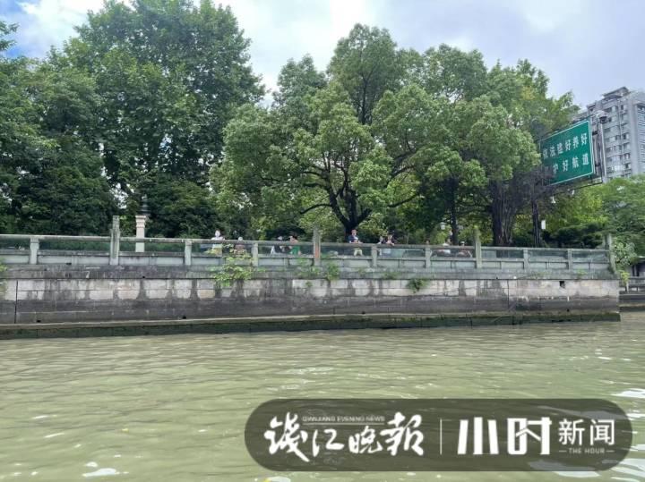 “亚运”版水上巴士今起上线，乘客中一大半特意来打卡：3元票价赏一路风景，值休闲区蓝鸢梦想 - Www.slyday.coM