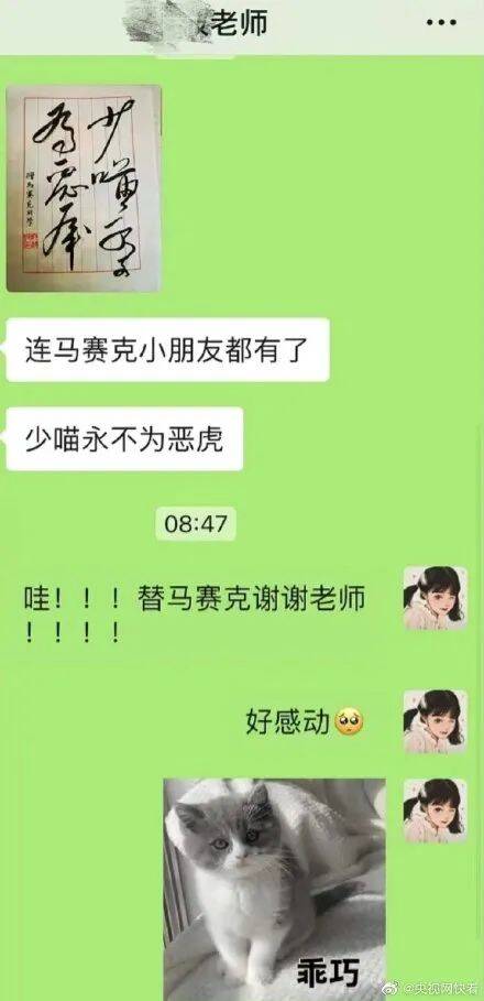 午FUN｜女生把猫写进毕业论文致谢，导师给小猫咪写毕业赠言！休闲区蓝鸢梦想 - Www.slyday.coM