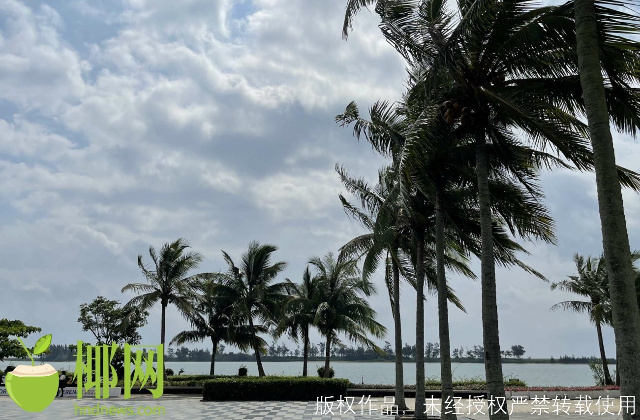 暑期将至！来海南开启你的夏日企划吧丨环岛游看这篇就够了→休闲区蓝鸢梦想 - Www.slyday.coM