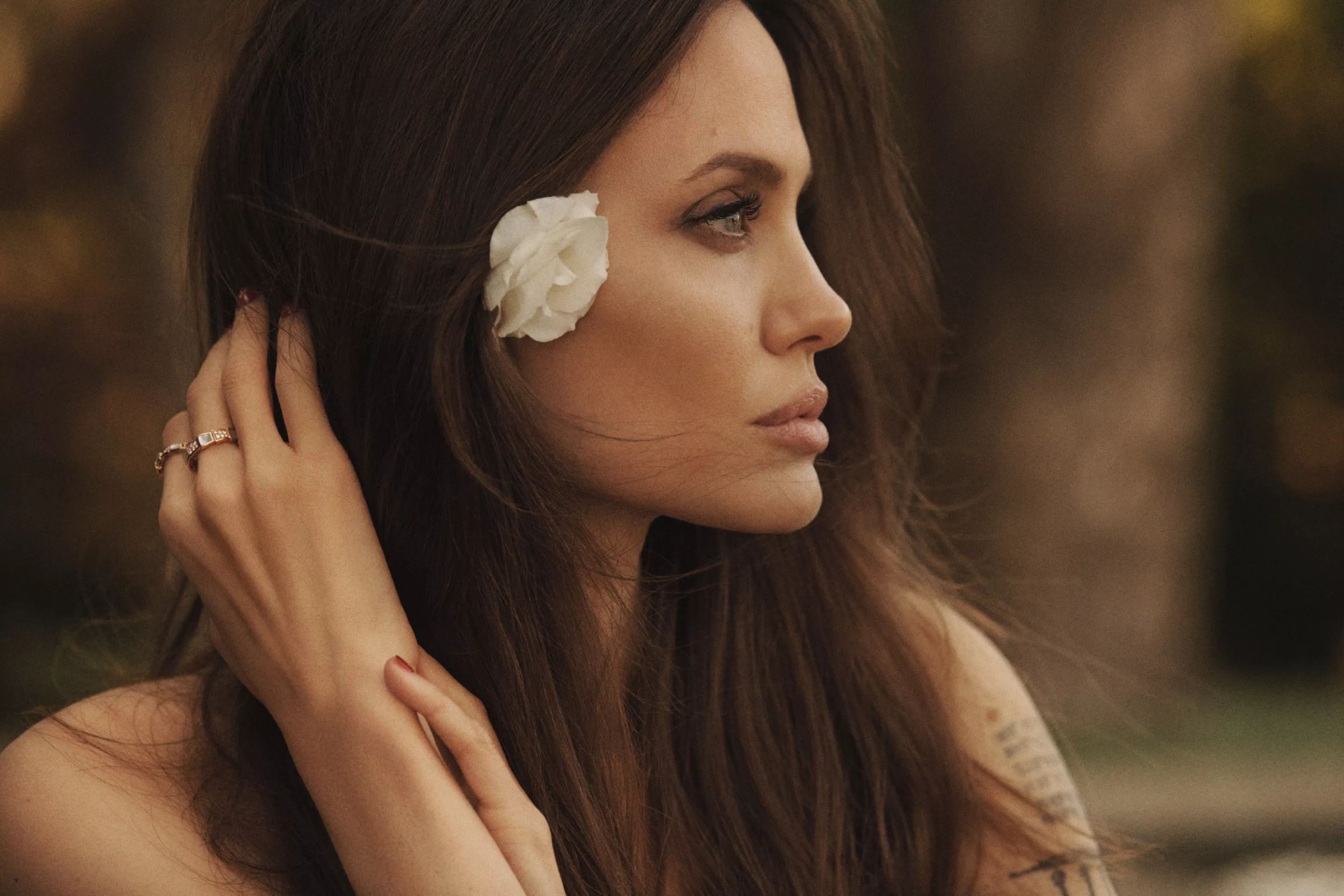 最新写真美图大赏!|安吉丽娜朱莉_新浪新闻