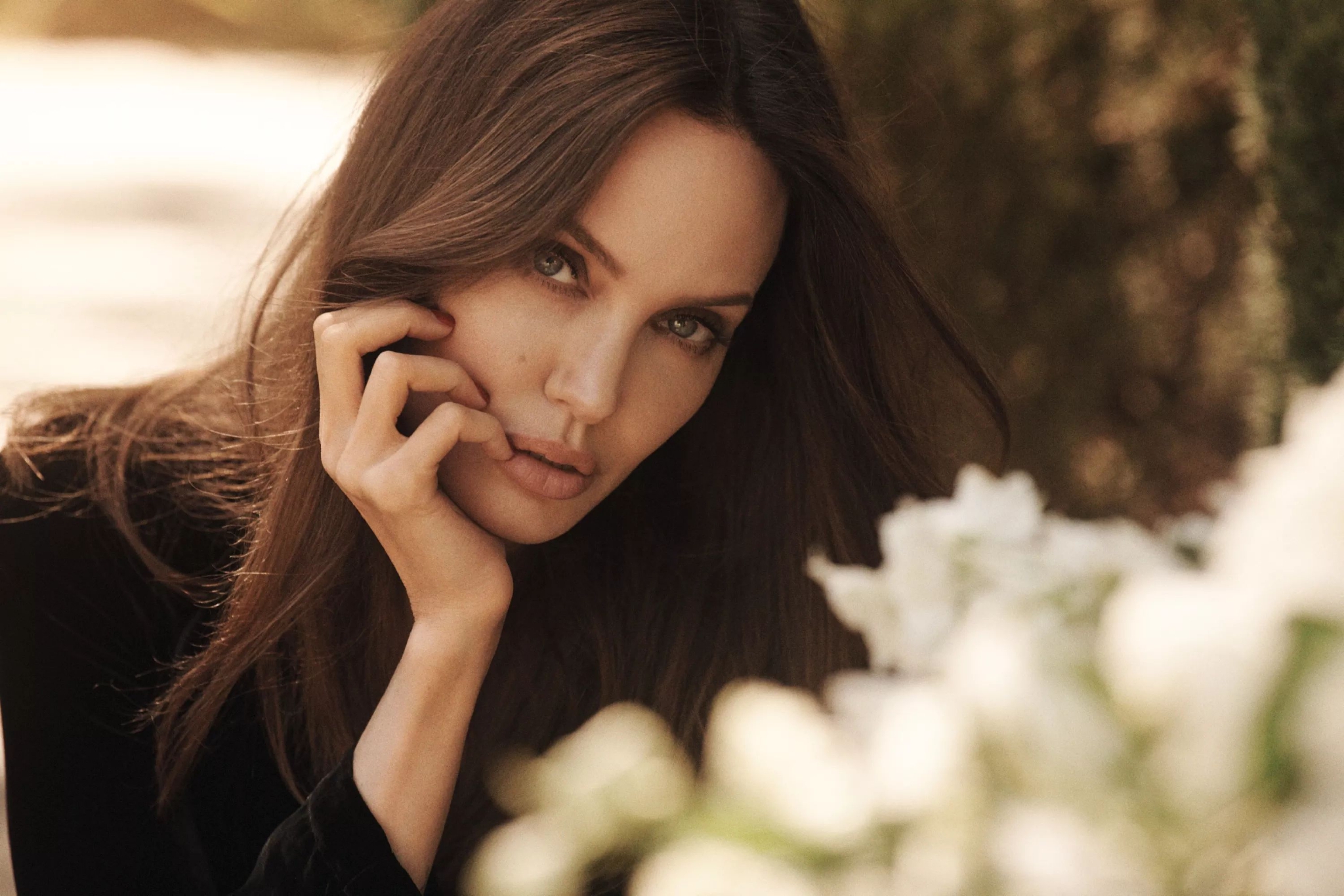 最新写真美图大赏!|安吉丽娜朱莉_新浪新闻