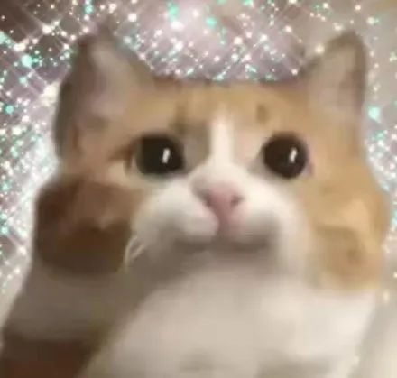 内娱最社恐的一群人凑在一起，反而让节目火了？休闲区蓝鸢梦想 - Www.slyday.coM