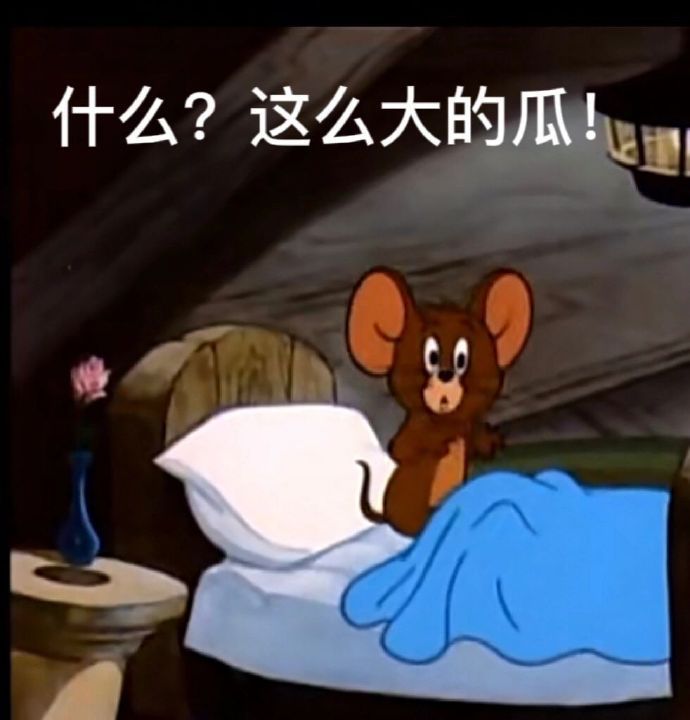 表情包又更新了 什么,这么大的瓜 我钱呢 天呐 我是不是你的宝贝