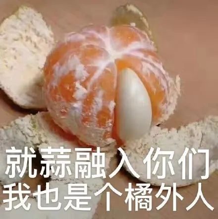 内娱最社恐的一群人凑在一起，反而让节目火了？休闲区蓝鸢梦想 - Www.slyday.coM