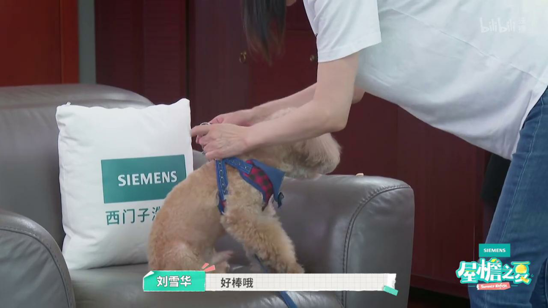 内娱最社恐的一群人凑在一起，反而让节目火了？休闲区蓝鸢梦想 - Www.slyday.coM