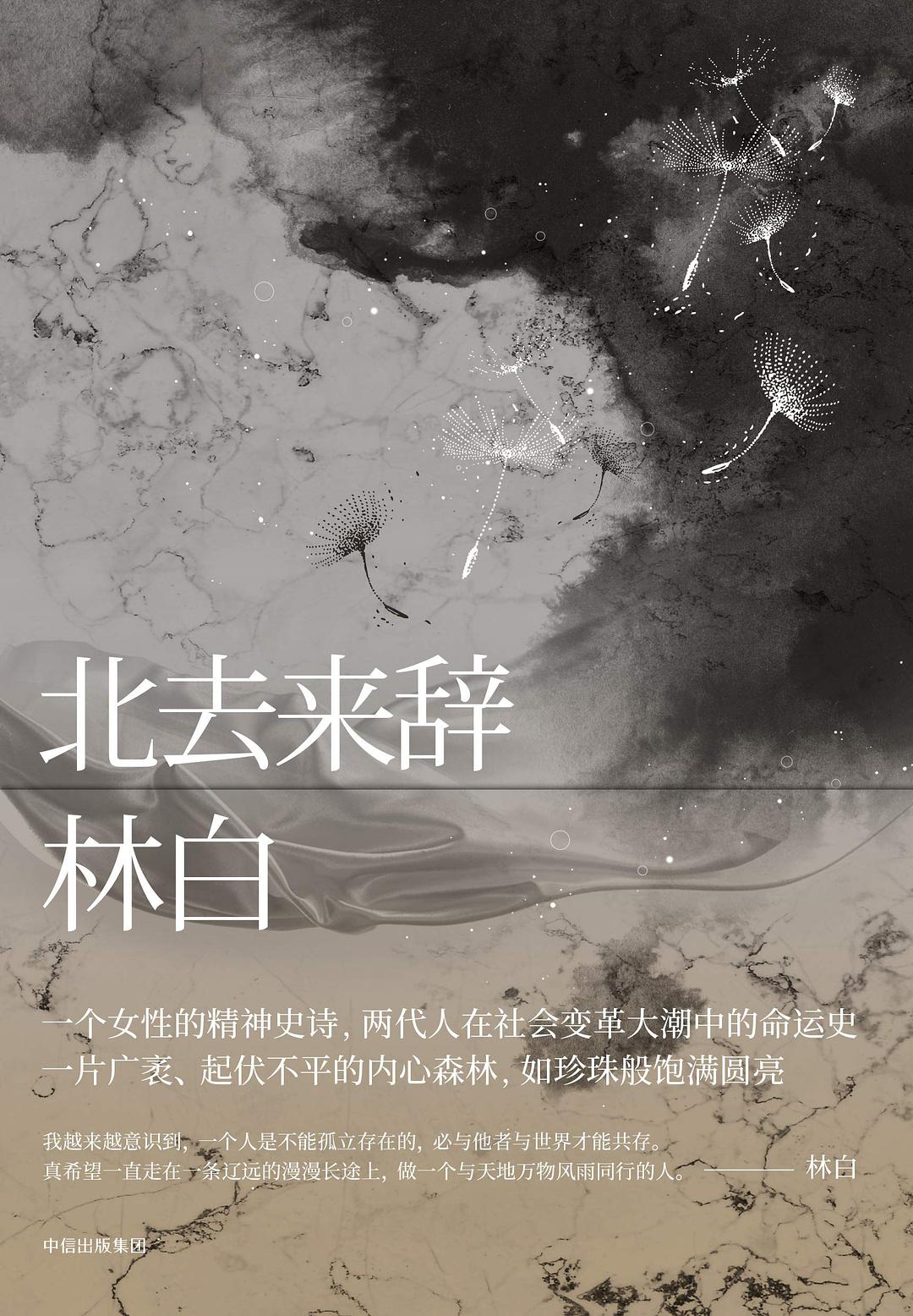 林白上一部长篇小说《北去来辞》