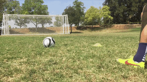 华丽又实用的插花脚!(动图演示)|插花|支撑脚|脚背_新浪新闻