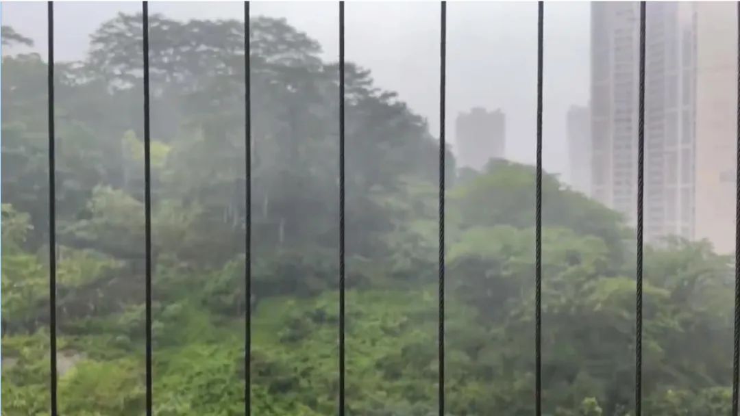 最近疯狂下雨+超级高温的原因，找到了休闲区蓝鸢梦想 - Www.slyday.coM