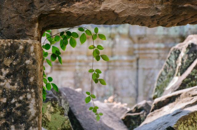 这些废墟是世界上最让人震撼的景色，全人类的共同遗产就是它休闲区蓝鸢梦想 - Www.slyday.coM