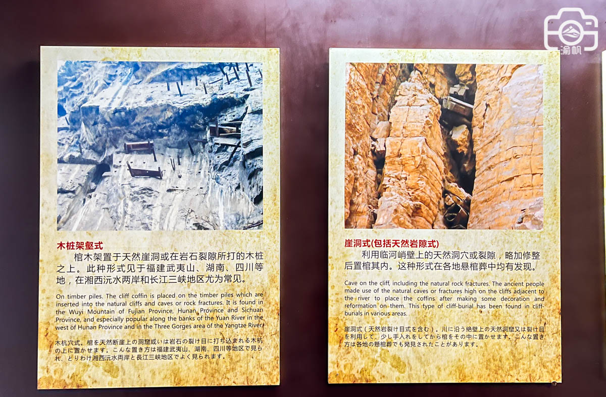 白帝城的三峡悬棺,如何放上悬崖成千古之谜,游客为何纷纷扔钱?