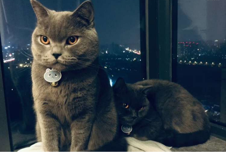 00后新婚夫妻的家,70㎡的空间,虽然不大但很有设计感休闲区蓝鸢梦想 - Www.slyday.coM 00后新婚夫妻的家,70㎡的空间,虽然不大但很有设计感休闲区蓝鸢梦想 - Www.slyday.coM