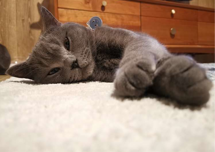 00后新婚夫妻的家,70㎡的空间,虽然不大但很有设计感休闲区蓝鸢梦想 - Www.slyday.coM 00后新婚夫妻的家,70㎡的空间,虽然不大但很有设计感休闲区蓝鸢梦想 - Www.slyday.coM