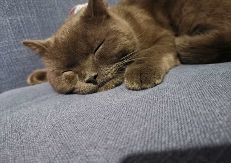 00后新婚夫妻的家,70㎡的空间,虽然不大但很有设计感休闲区蓝鸢梦想 - Www.slyday.coM 00后新婚夫妻的家,70㎡的空间,虽然不大但很有设计感休闲区蓝鸢梦想 - Www.slyday.coM