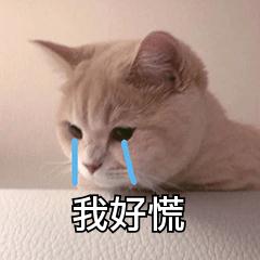 高考查分能有多激动？考生查分名场面来了，看看他们的反应！休闲区蓝鸢梦想 - Www.slyday.coM