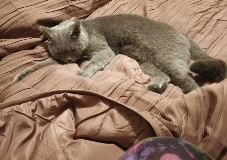 00后新婚夫妻的家,70㎡的空间,虽然不大但很有设计感休闲区蓝鸢梦想 - Www.slyday.coM 00后新婚夫妻的家,70㎡的空间,虽然不大但很有设计感休闲区蓝鸢梦想 - Www.slyday.coM