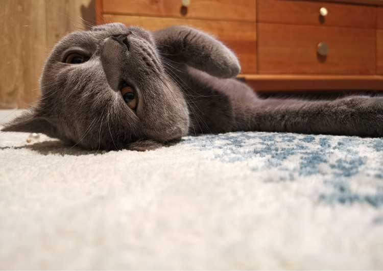 00后新婚夫妻的家,70㎡的空间,虽然不大但很有设计感休闲区蓝鸢梦想 - Www.slyday.coM 00后新婚夫妻的家,70㎡的空间,虽然不大但很有设计感休闲区蓝鸢梦想 - Www.slyday.coM