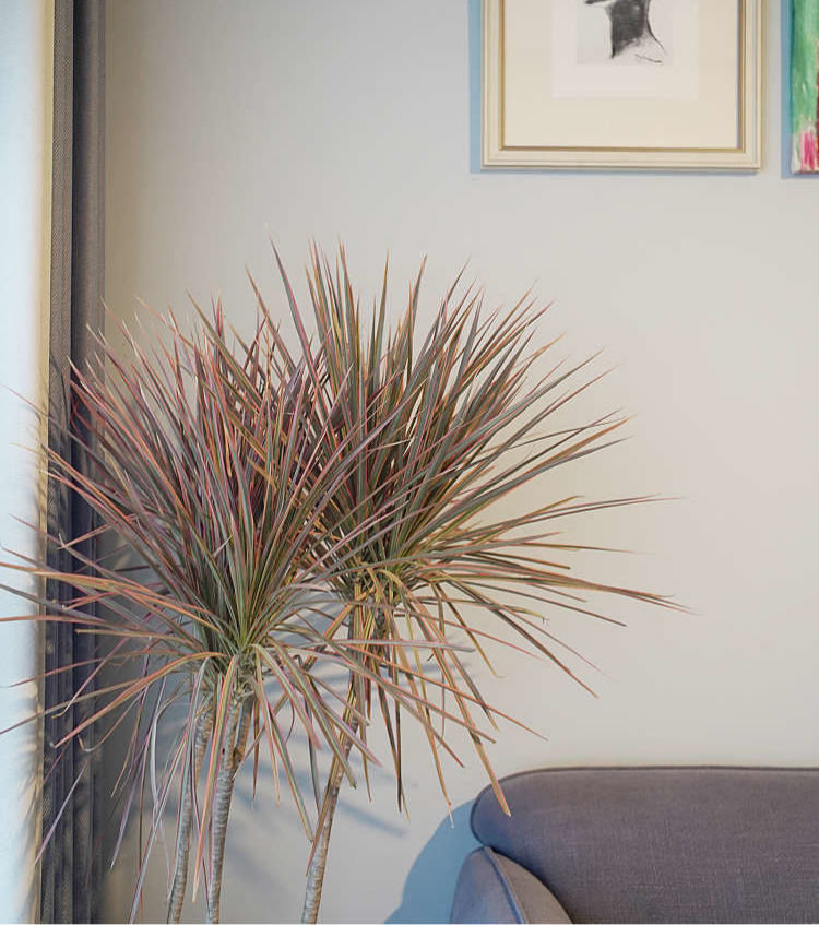 00后新婚夫妻的家,70㎡的空间,虽然不大但很有设计感休闲区蓝鸢梦想 - Www.slyday.coM 00后新婚夫妻的家,70㎡的空间,虽然不大但很有设计感休闲区蓝鸢梦想 - Www.slyday.coM