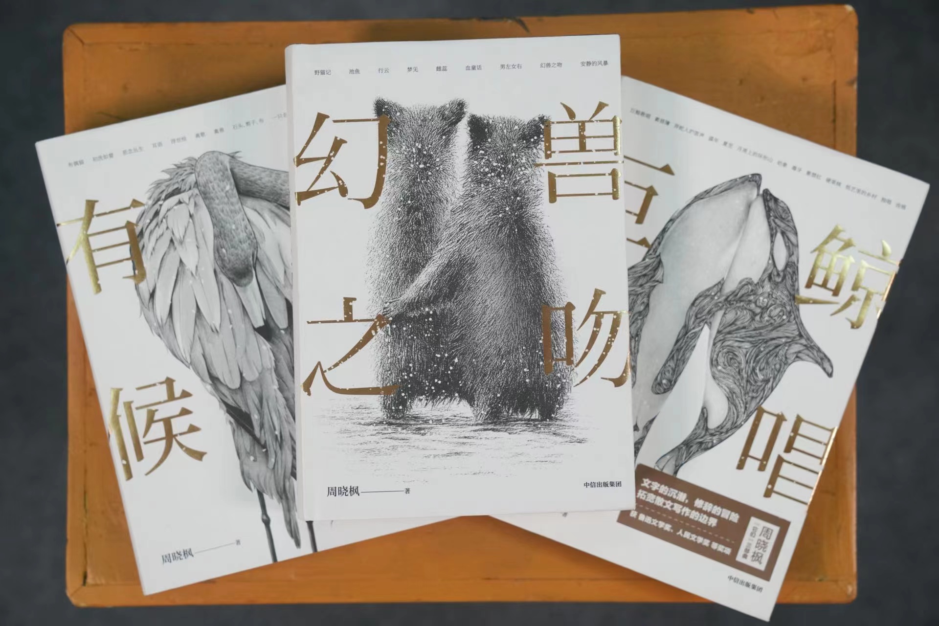 《小翅膀》《星鱼》《你的好心看起来像个坏主意》,翻开周晓枫的作品