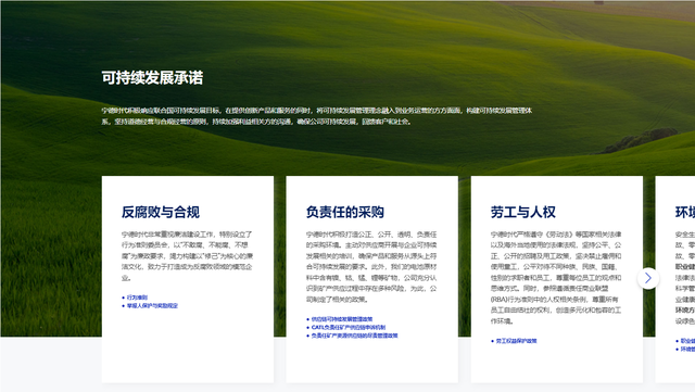 超特斯拉4680！理想汽车都点赞的宁德时代，官网PPT原来长这样休闲区蓝鸢梦想 - Www.slyday.coM