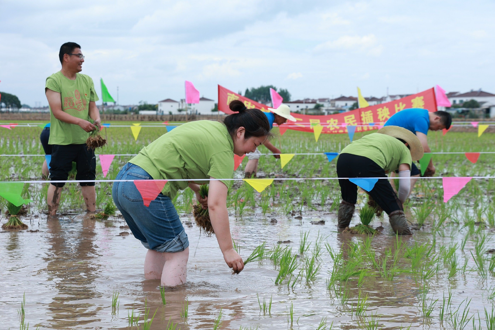 南京栖霞南中村举办第二届农民插秧比赛