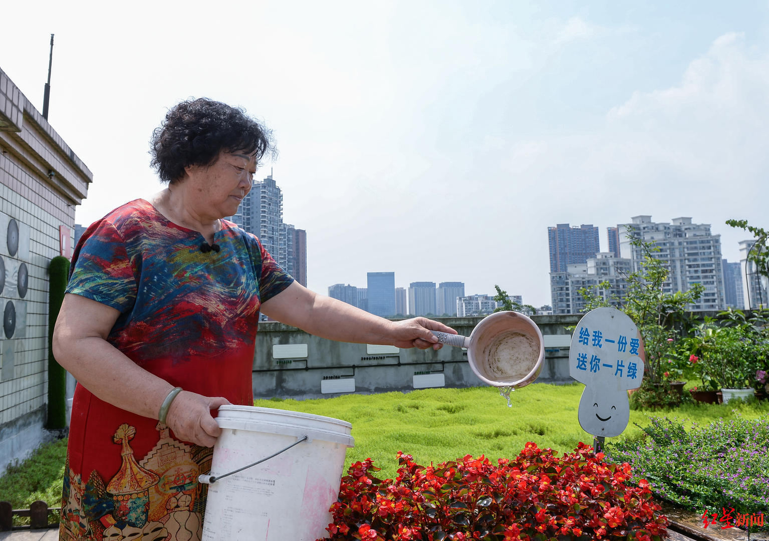 成都这个小区楼顶有个1100平米的共享“空中花园”社区居民实现了公园城市梦