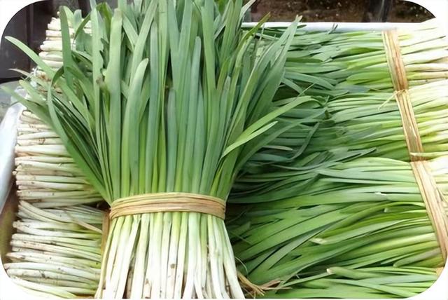 太原市中医医院厨房里的中药材韭菜