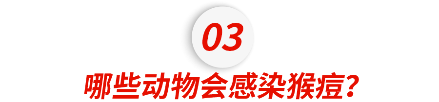 突发！中国惊现首例猴痘！密接19人！一文看懂猴痘传播途径和预防措施休闲区蓝鸢梦想 - Www.slyday.coM