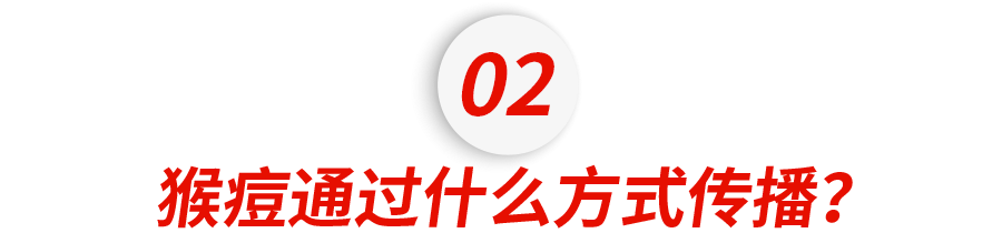 突发！中国惊现首例猴痘！密接19人！一文看懂猴痘传播途径和预防措施休闲区蓝鸢梦想 - Www.slyday.coM