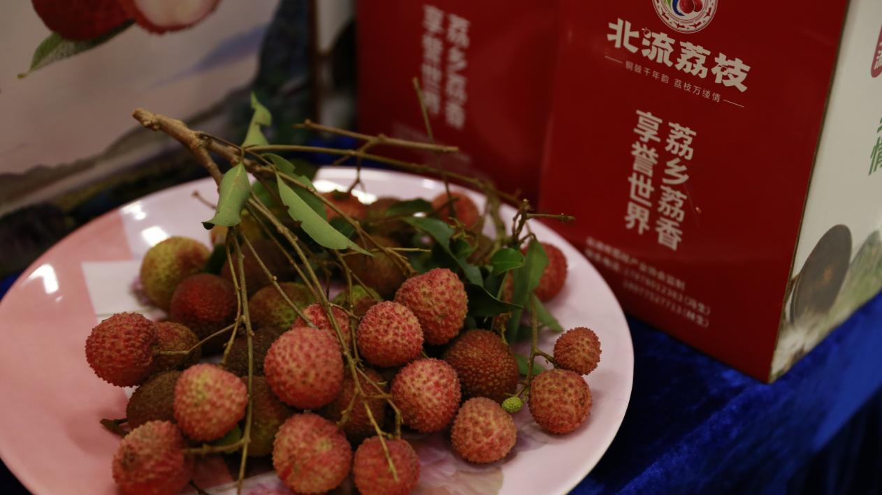 北流大力推动荔枝公用品牌建设|北流市_新浪新闻