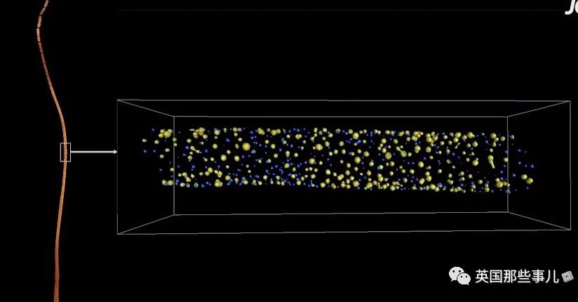 科学家发现世界上最大细菌！单个细菌长度1厘米，肉眼就能看到！休闲区蓝鸢梦想 - Www.slyday.coM