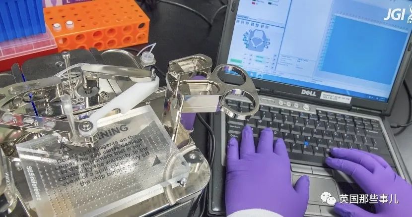 科学家发现世界上最大细菌！单个细菌长度1厘米，肉眼就能看到！休闲区蓝鸢梦想 - Www.slyday.coM