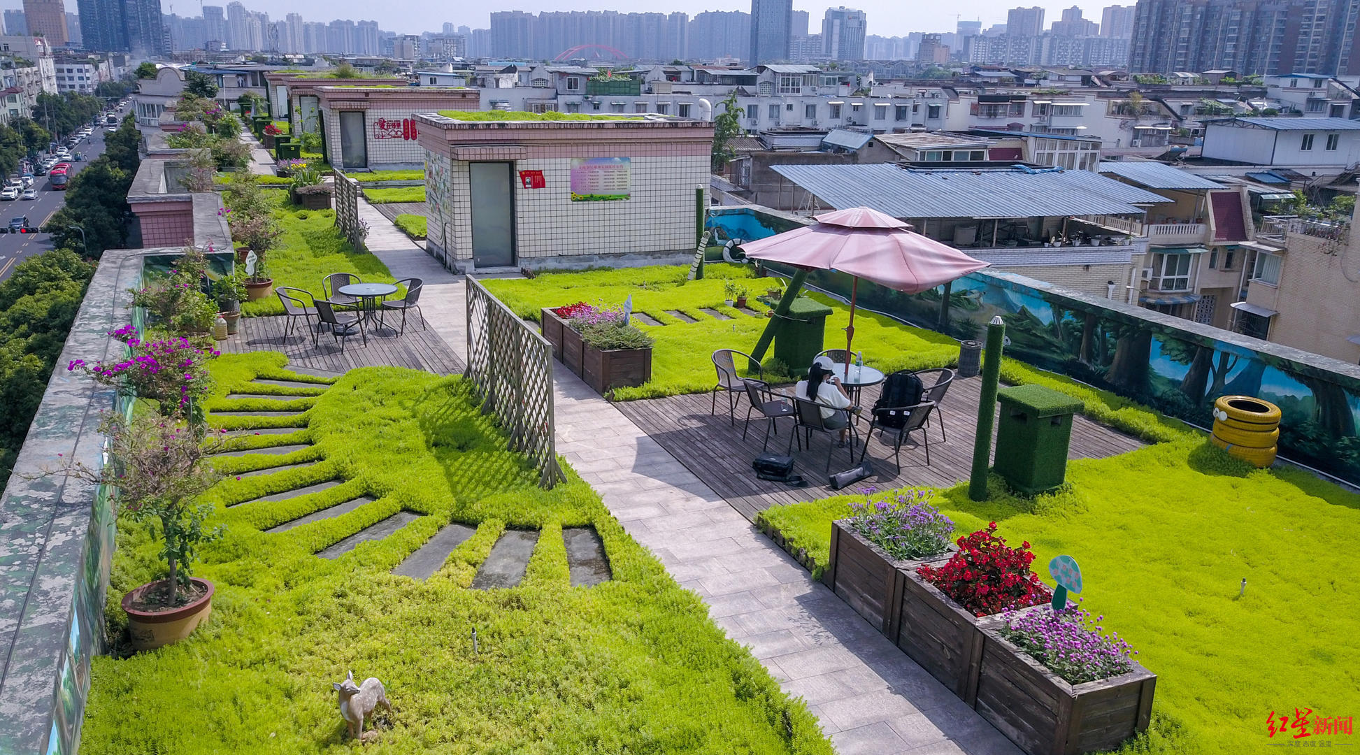 成都这个小区楼顶有个1100平米的共享“空中花园”社区居民实现了公园城市梦