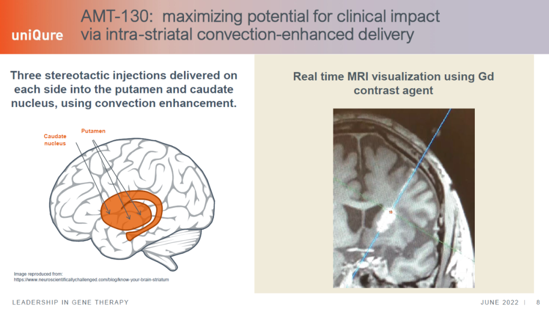 速递休闲区蓝鸢梦想 - Www.slyday.coM