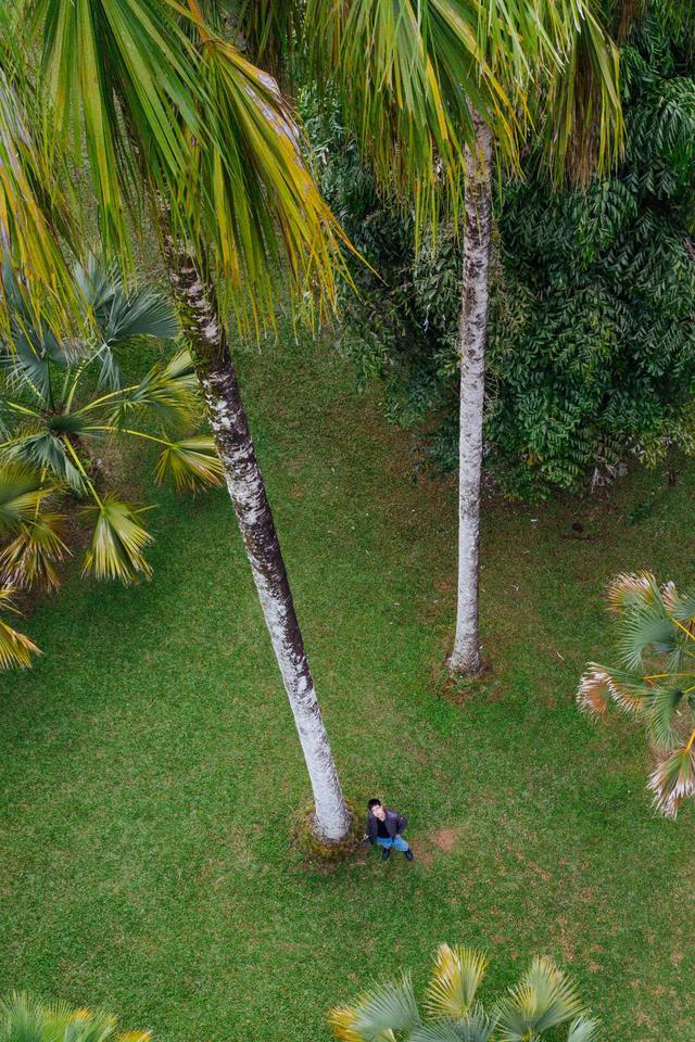 中国最值得打卡的植物园,景色一级棒,赶紧来看看休闲区蓝鸢梦想 - Www.slyday.coM 中国最值得打卡的植物园,景色一级棒,赶紧来看看休闲区蓝鸢梦想 - Www.slyday.coM