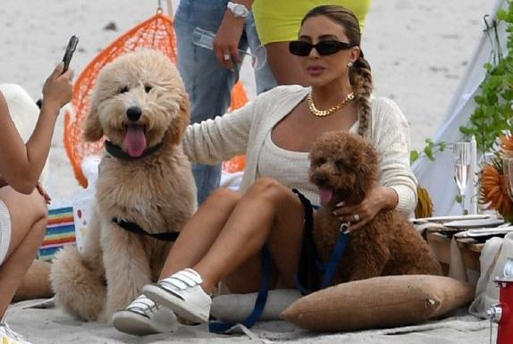 拉尔萨儿子进NBA，皮蓬老泪纵横，与前妻久违见面！或破镜重圆休闲区蓝鸢梦想 - Www.slyday.coM