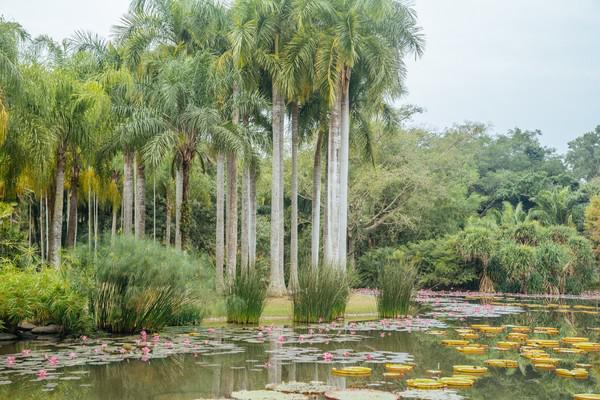 中国最值得打卡的植物园,景色一级棒,赶紧来看看休闲区蓝鸢梦想 - Www.slyday.coM 中国最值得打卡的植物园,景色一级棒,赶紧来看看休闲区蓝鸢梦想 - Www.slyday.coM