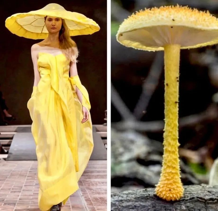 把蘑菇穿在身上，设计师以大自然为灵感，创作的时装太特别了休闲区蓝鸢梦想 - Www.slyday.coM