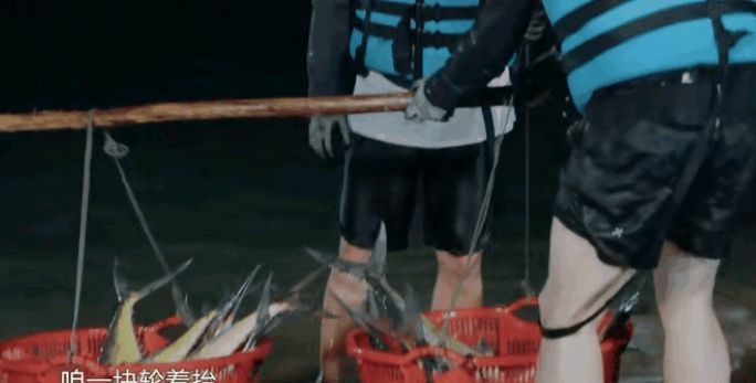 向往的生活被猜测用的是道具鱼,来看看你觉得像吗?休闲区蓝鸢梦想 - Www.slyday.coM 向往的生活被猜测用的是道具鱼,来看看你觉得像吗?休闲区蓝鸢梦想 - Www.slyday.coM