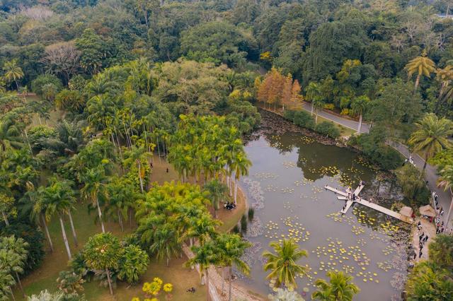 中国最值得打卡的植物园,景色一级棒,赶紧来看看休闲区蓝鸢梦想 - Www.slyday.coM 中国最值得打卡的植物园,景色一级棒,赶紧来看看休闲区蓝鸢梦想 - Www.slyday.coM
