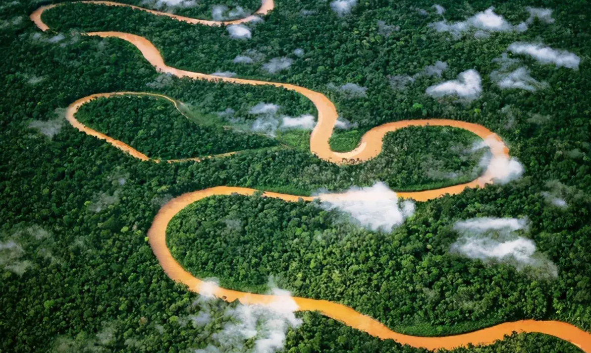 人掉进河,能坚持一分钟是奇迹?亚马逊河被称为禁区,有多恐怖?|亚马逊|