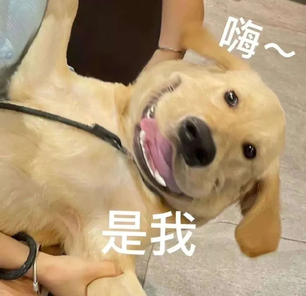 她也迷恋上卡戴珊大翘臀了？官宣分手后是要放弃当超模吗…休闲区蓝鸢梦想 - Www.slyday.coM