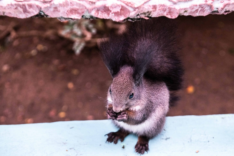 广东最适合亲子游的好去处，四处都是卡通人物，动漫爱好者的天堂休闲区蓝鸢梦想 - Www.slyday.coM