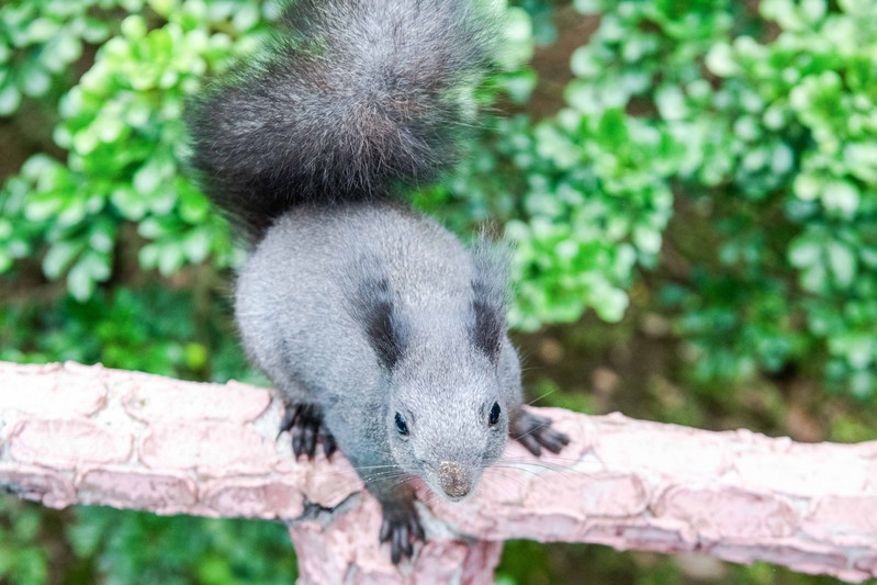 广东最适合亲子游的好去处，四处都是卡通人物，动漫爱好者的天堂休闲区蓝鸢梦想 - Www.slyday.coM